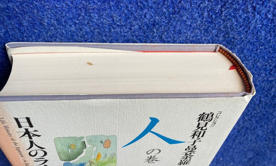 鶴見和子曼荼羅II 人の巻 日本人のライフ・ヒストリー