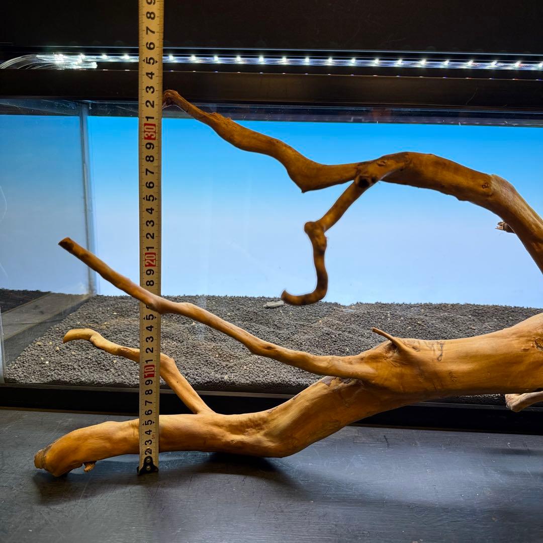 MDW-6921 特大ブランチウッド 流木 枝流木 アクアリウム