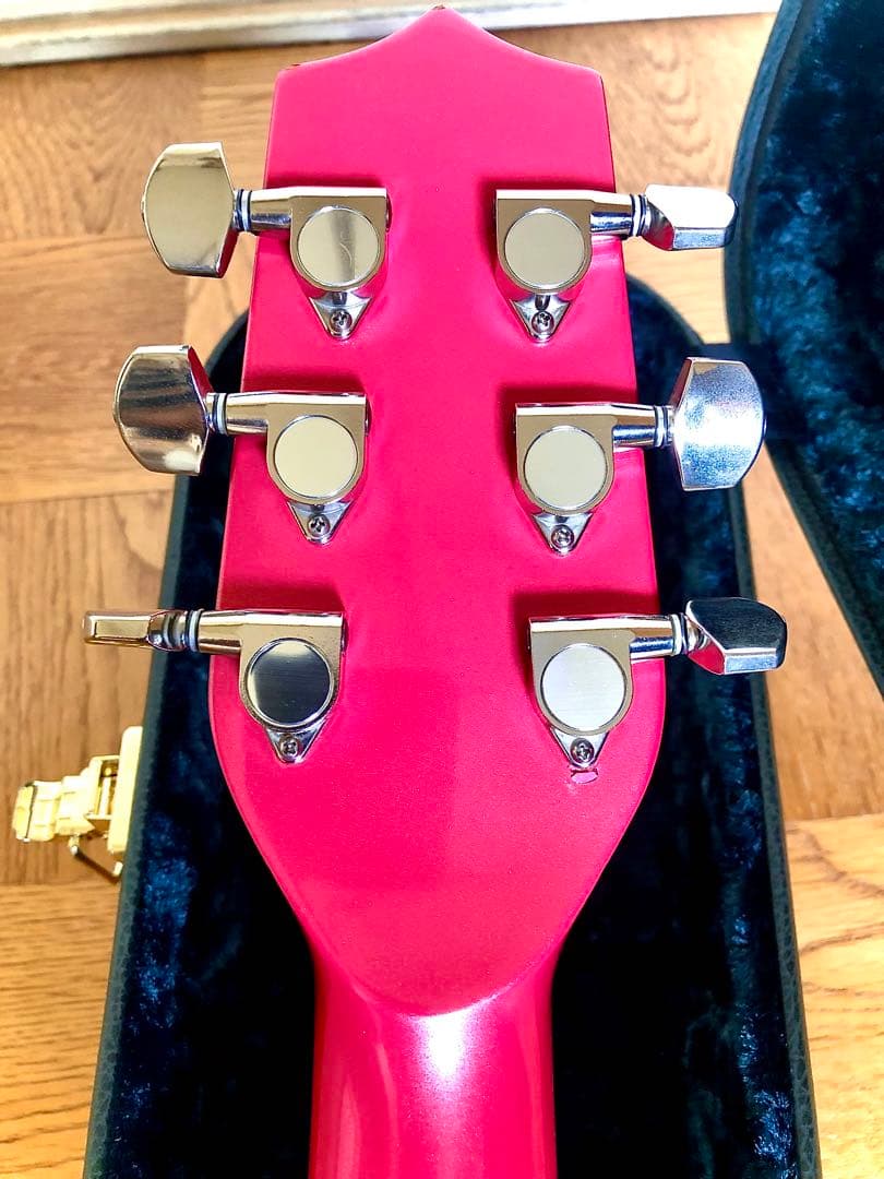 超希少！珍品HSアンダーソン-ヒューストン