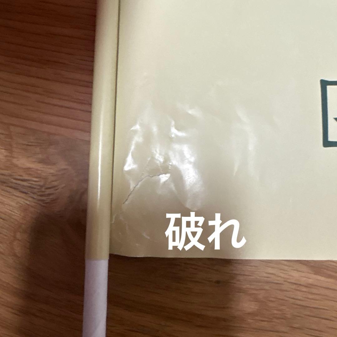 TRAIN SUITE 四季島 旗 フラッグ 24本＋2本