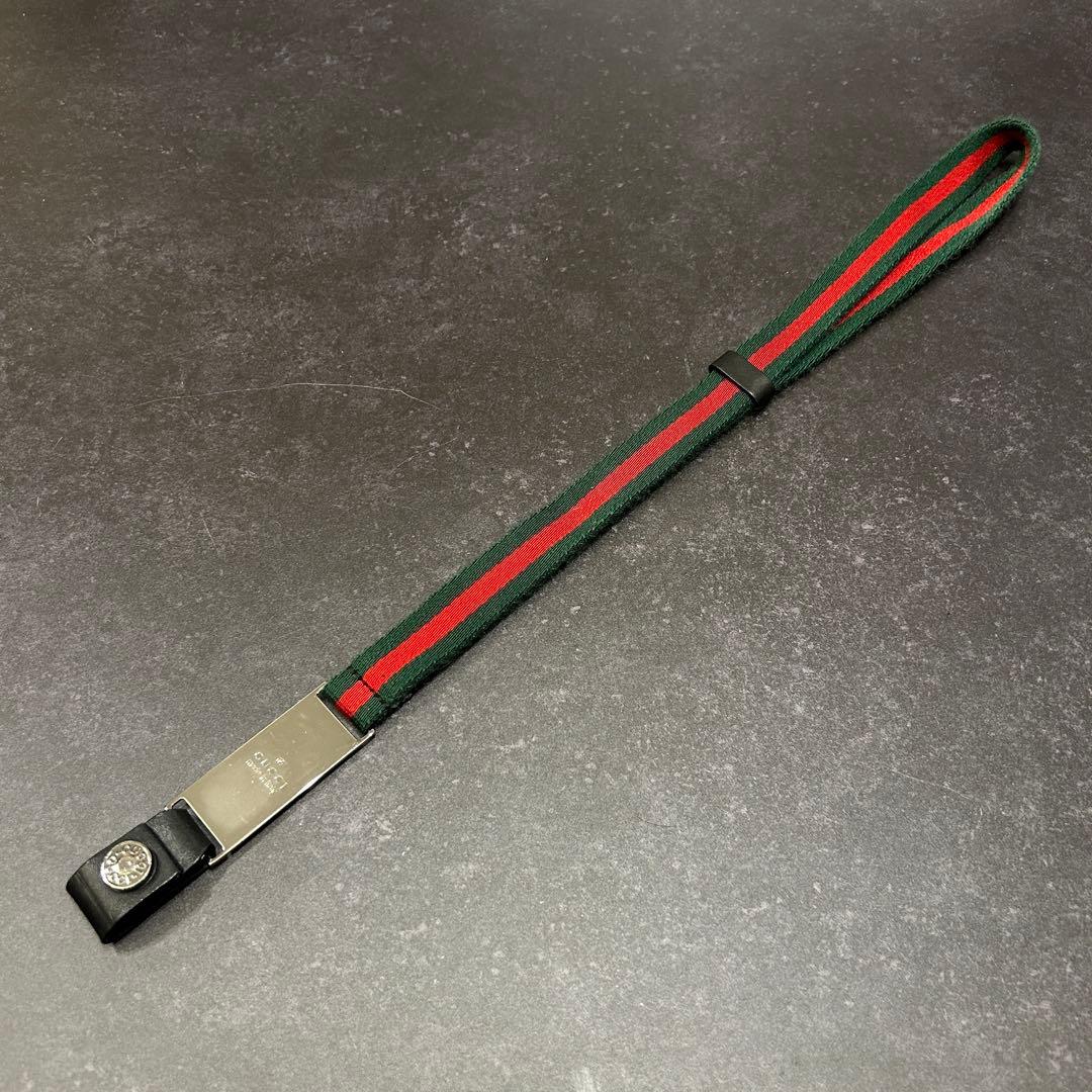 ウォーターマン 「カレンアリゲーターST」世界限定250本 ボールペン