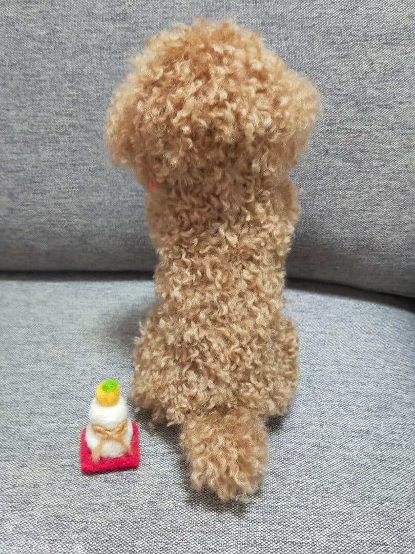 送料込み。トイプードルレッドちゃん。ちょうだいポーズ。鏡餅。