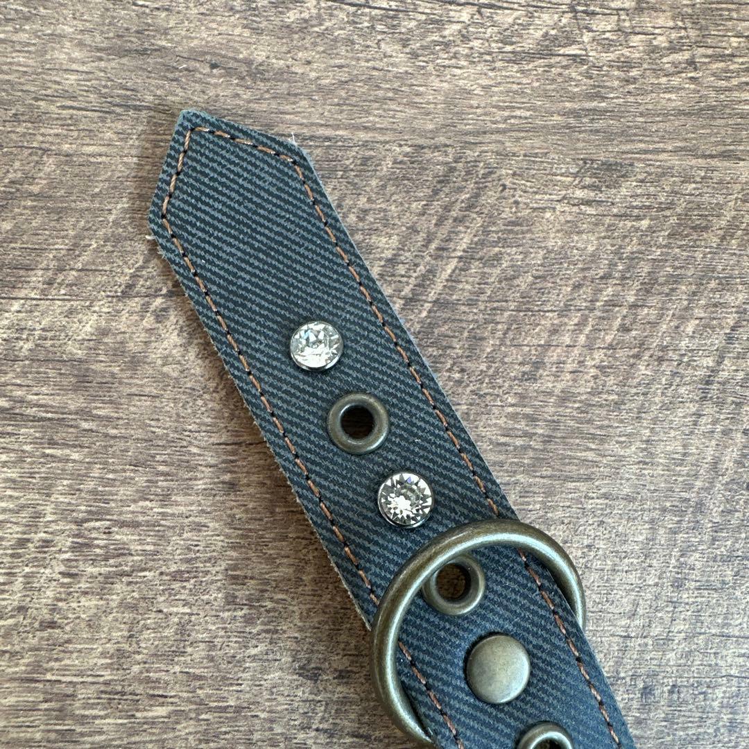 バディベルト BB ブルージーン5号 ハーネス フルクリスタル アクセント