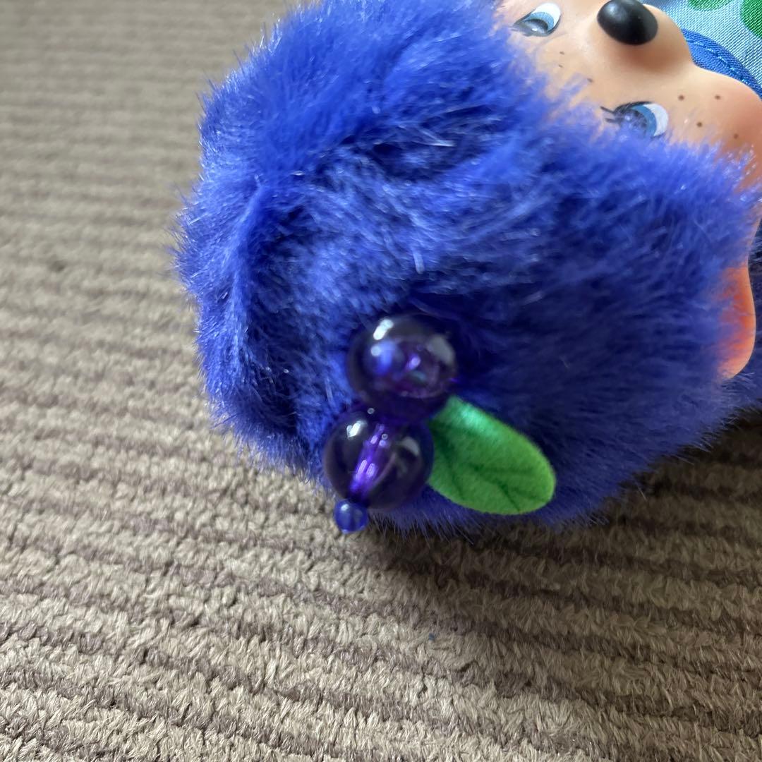 ご当地　信州限定　モンチッチ　未使用