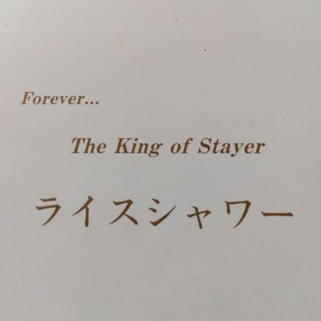 非売品　ライスシャワー　天皇賞優勝記念