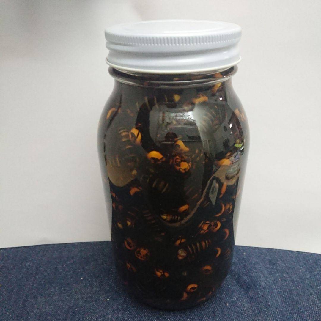 150匹】オオスズメバチ焼酎漬け