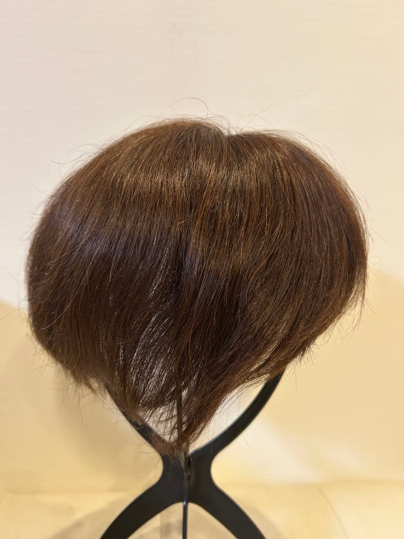アクアドール６分ウィッグ　人毛100パーセント　ショート