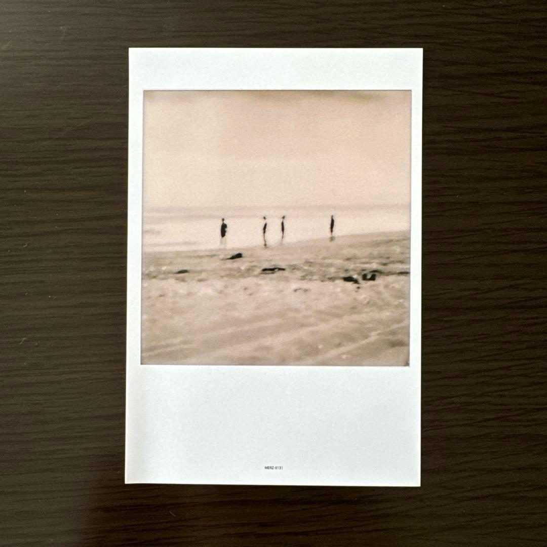 ミュージシャン THE NOVEMBERS