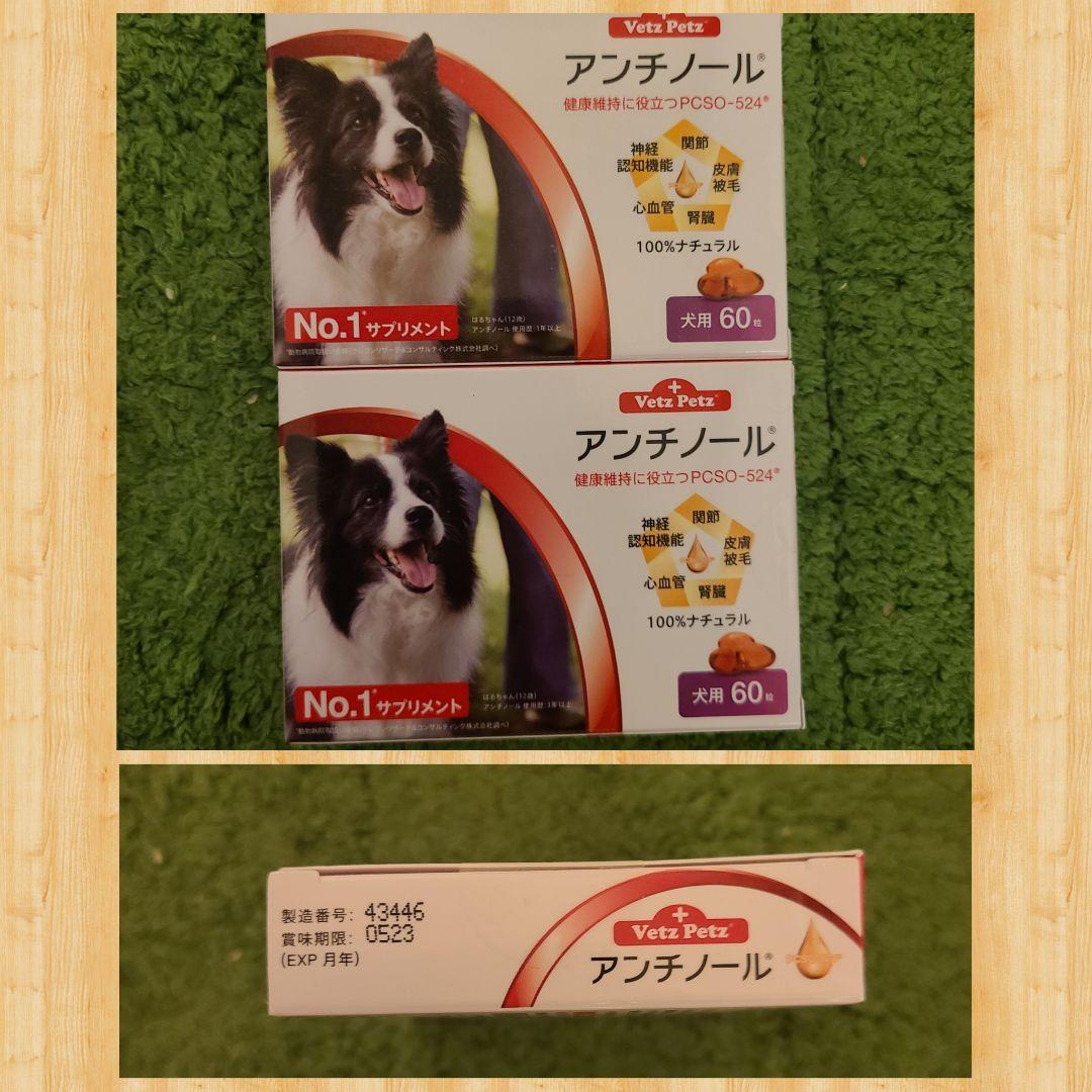 トップ アンチノール2箱 アンチノールプラス 犬用 90粒 2箱