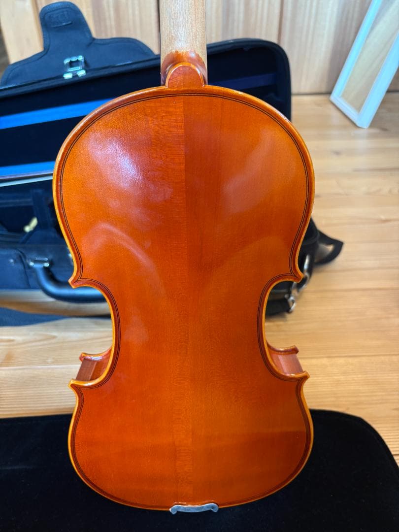 ヴァイオリン Eastman Strings VL80 4/4 2021年