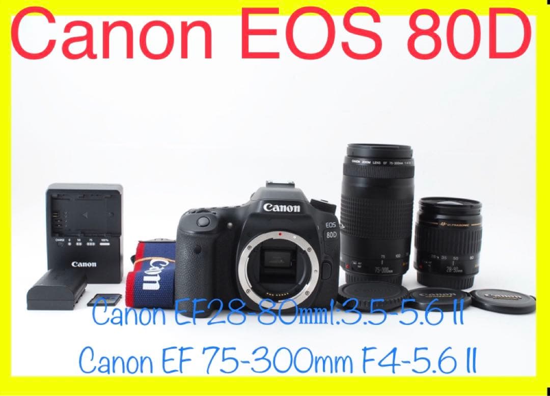 保証付き/Canon EOS 80D 標準&望遠ダブルレンズセット 【公式通販】 Wi