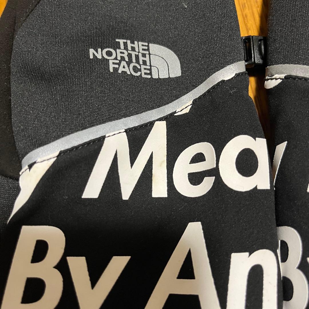 Supreme North Face By Any Means Gloves L