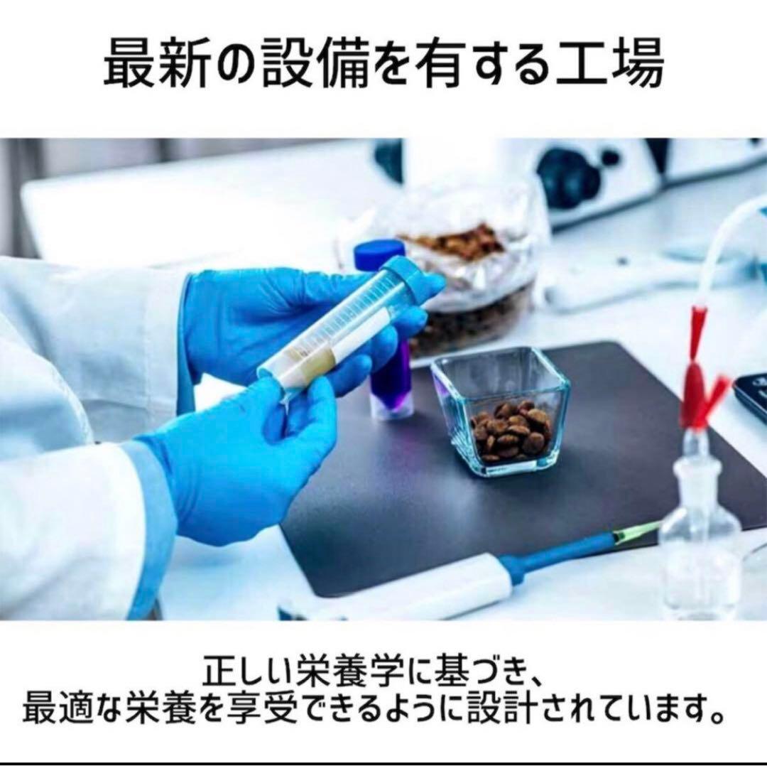 sk8524 WOLF INSIGHT BASIC チキン 12kg - メルカリ 新品 WOLF INSIGHT