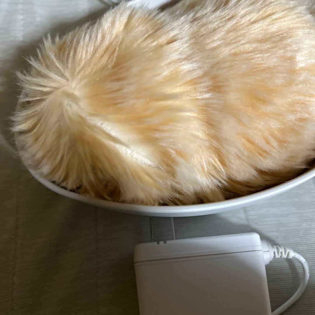 Moflin（モフリン）　￼ゴールド