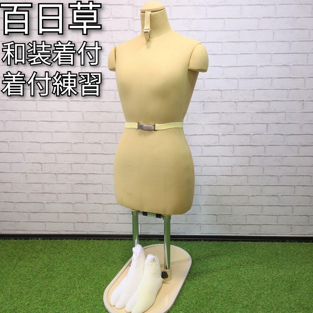 百日草着付けボディーとーり着物和装練習用マネキントルソー