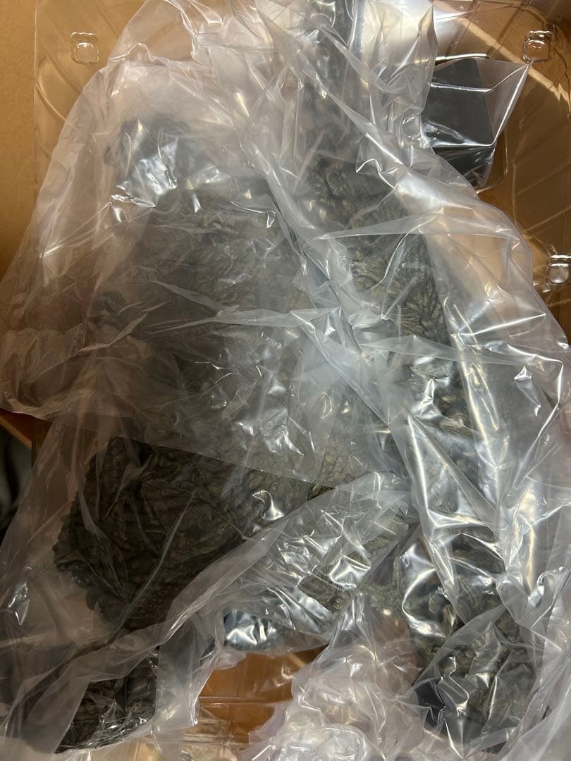 開封品 美品 東宝30センチシリーズ ゴジラ -1.0 2023