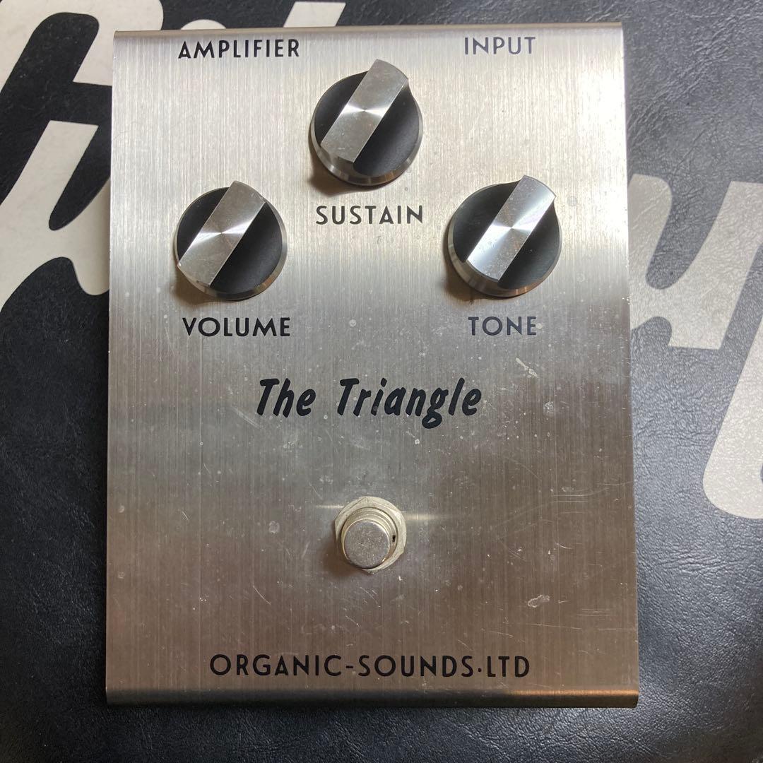 ギター Organic Sounds The Triangle