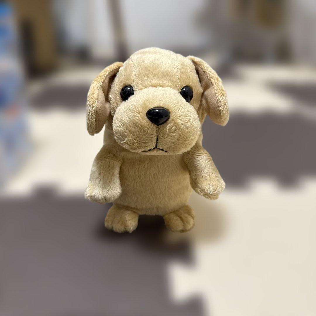 こえマネ わんちゃん おしゃべりぬいぐるみ 動作確認済み 箱付き