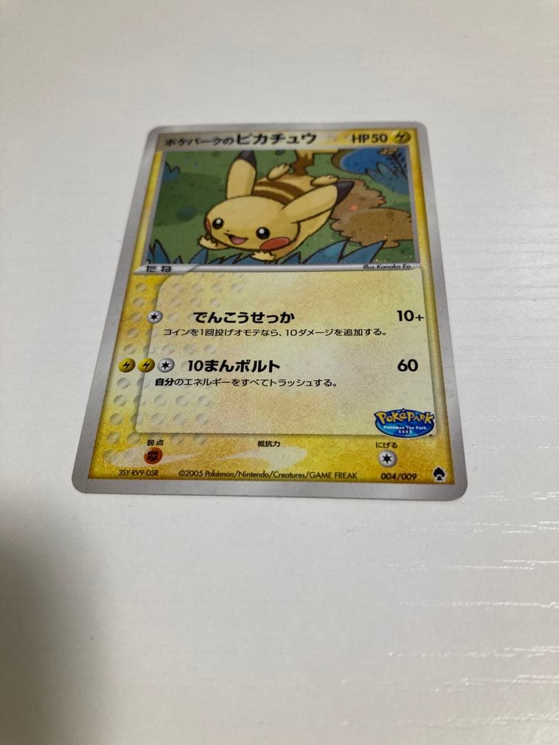 r*i様 ポケパーク　ピカチュウ