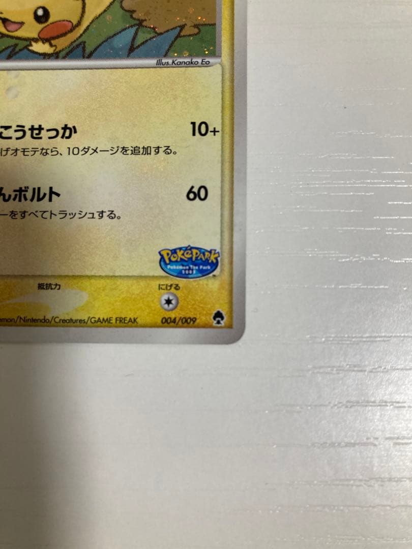 r*i様 ポケパーク　ピカチュウ