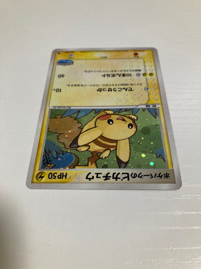 r*i様 ポケパーク　ピカチュウ