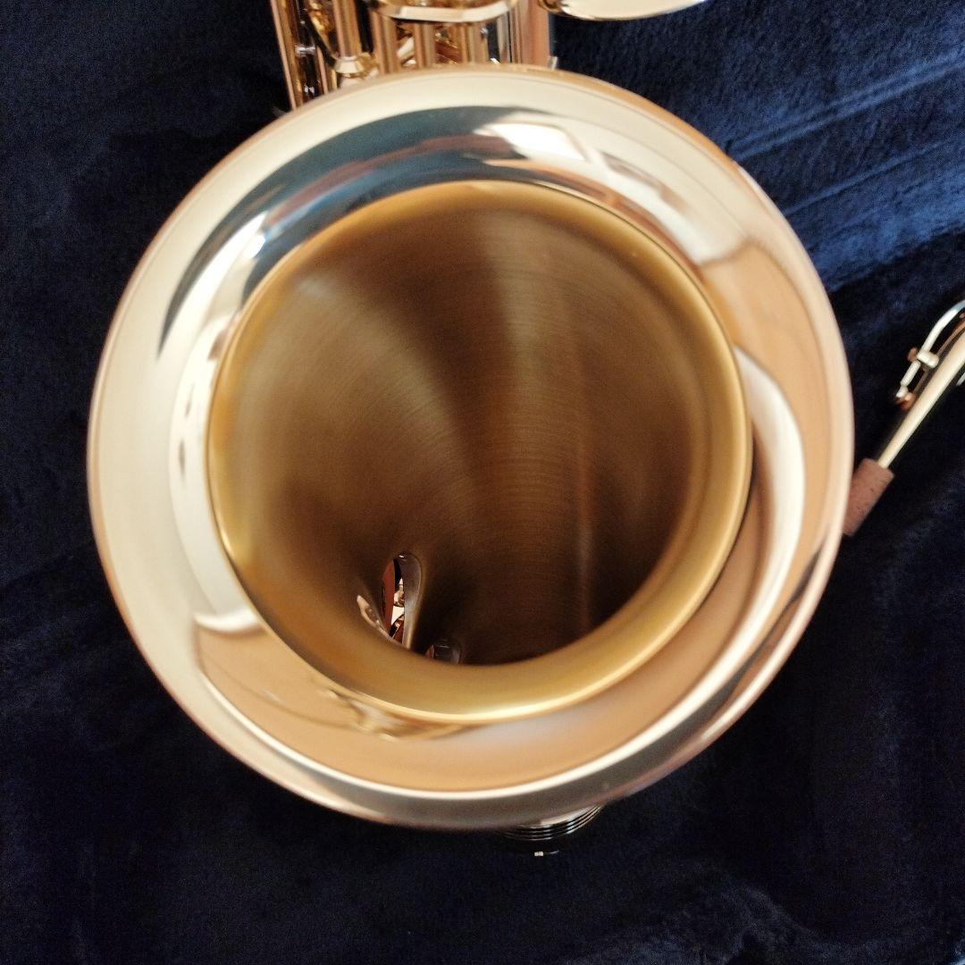美品　YANAGISAWA A-WO1 アルトサックス 本体