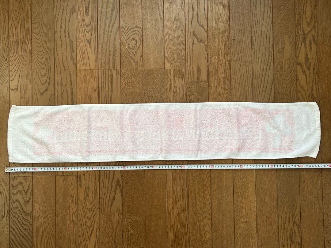 Hysteric Blue ヒスブル Tama たくや ライブTシャツ タオル