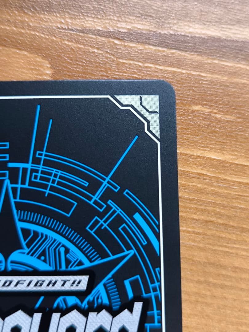 ヴァンガード スノウスキップ パルヴィ TGR+