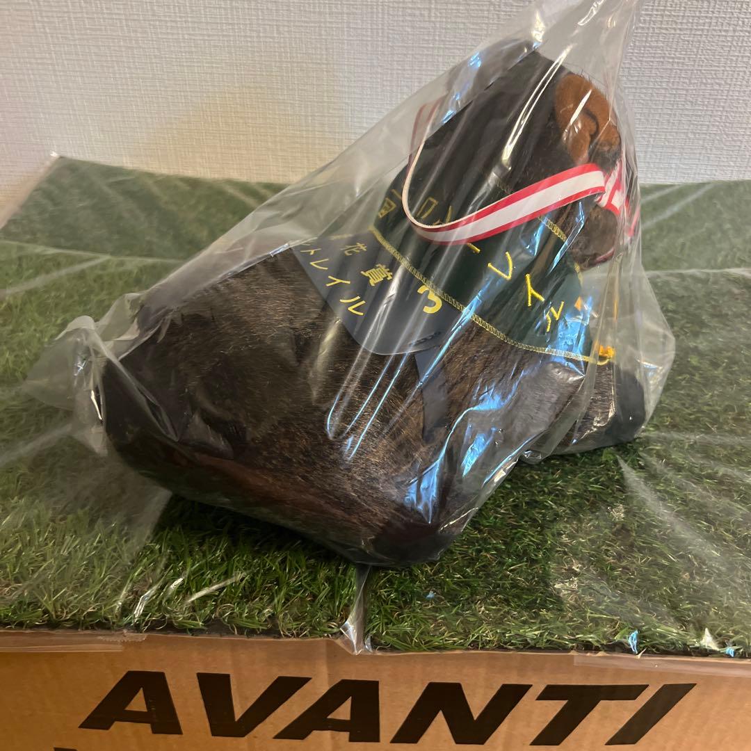 AVANTI社製 Sサイズ　ぬいぐるみ コントレイル 皐月賞 ダービー 菊花賞