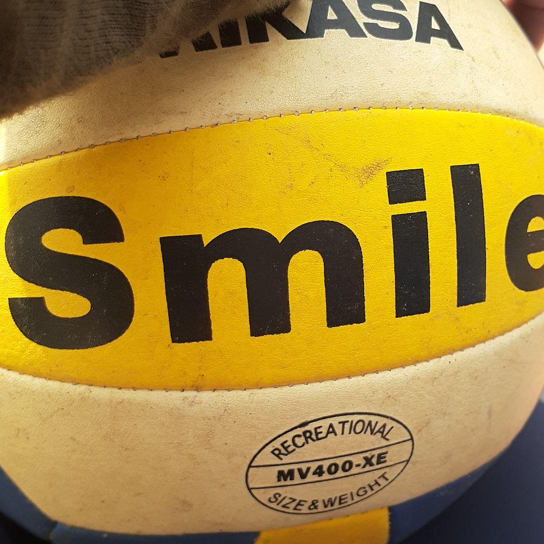 美品 掛け軸2本 紅山幸水作「露草」、倉田立美作 富士図