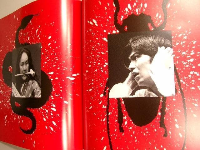 武田真治　白石加代子　演出；蜷川幸雄　　舞台パンフレット　身毒丸　1995年