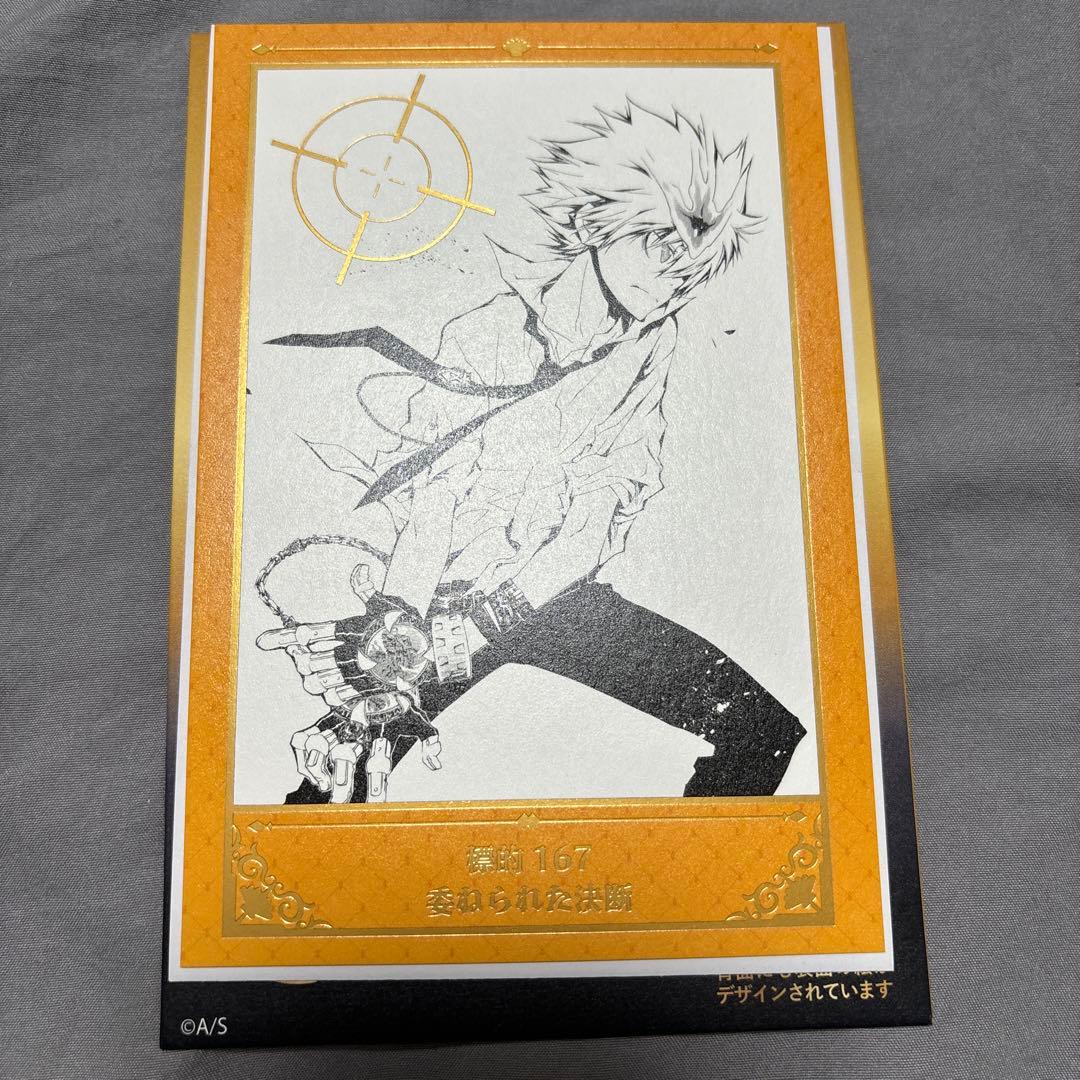 家庭教師ヒットマンREBORN 沢田綱吉 超ツナ キラピカポストカード 中国