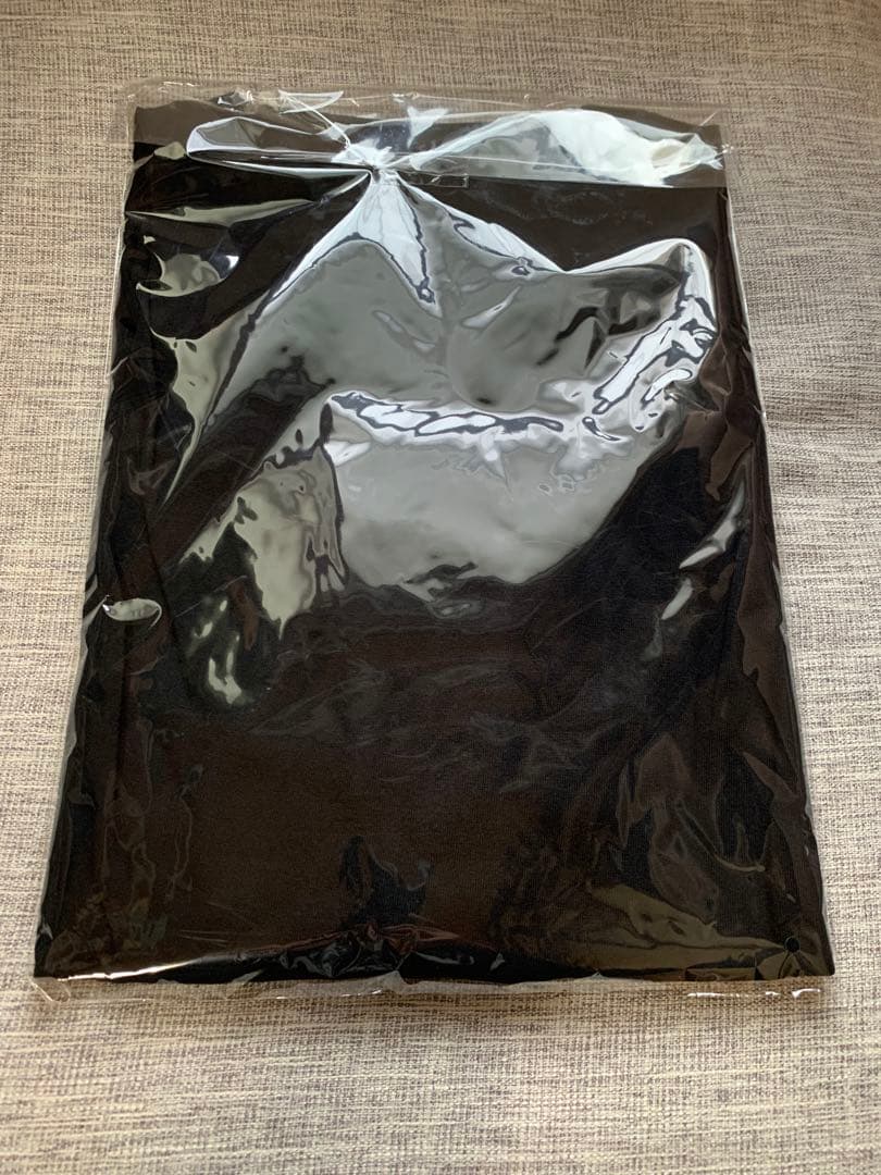 Hi-STANDARD FAT Wreck Chords L/S Tシャツ XL