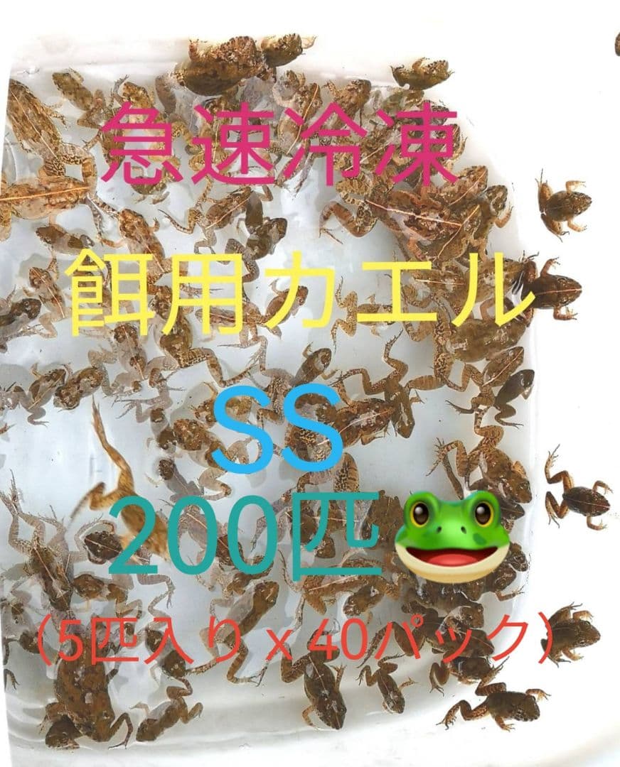 二百匹【冷凍】SS 餌用カエル ヌマガエル エサ用 爬虫類 蛇の餌 ヘビ