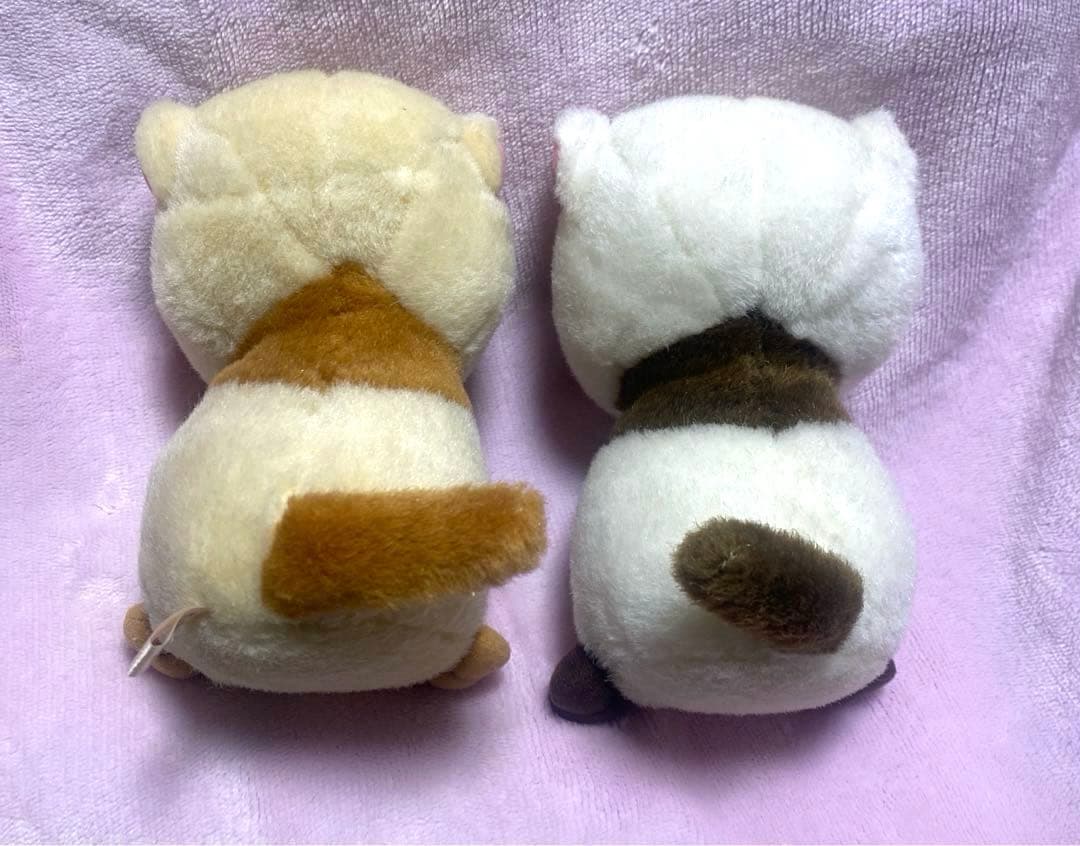 ぬいぐるみの三英 希少 たぬき ペア ぬいぐるみ レトロ