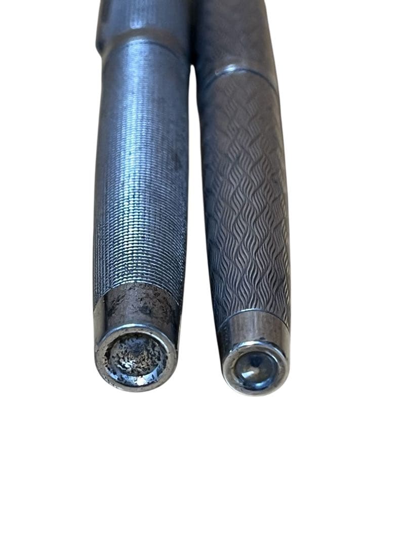 2本セット プラチナ万年筆 プラチナ・プラチナ（中字） Pt. Alloy