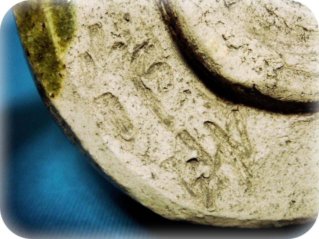 464『織部茶碗 吊り柿』 /骨董品 古美術 古玩 アンティーク - 工芸品