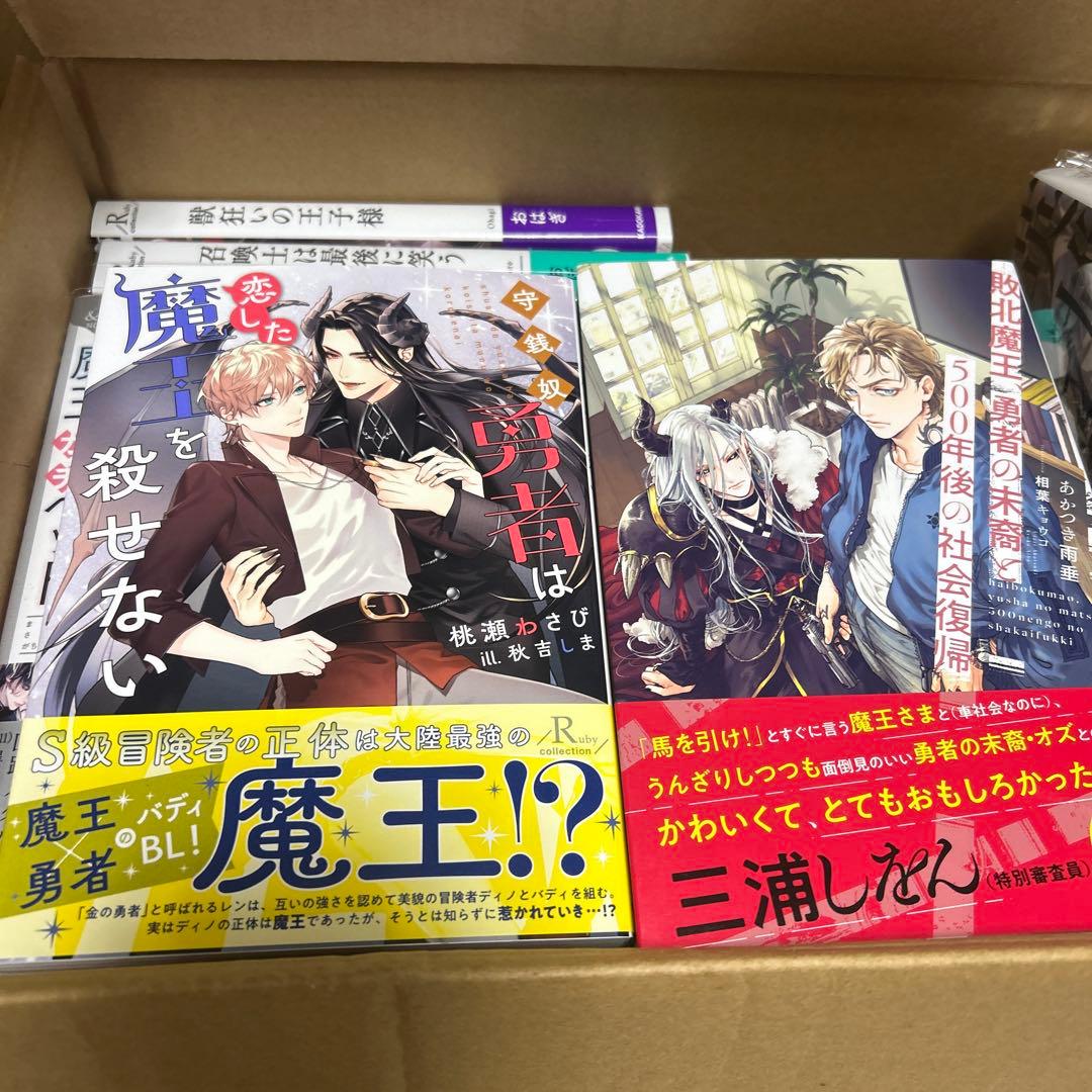 bl小説大判サイズ纏め売りセット　アンダルシュノベルズ他