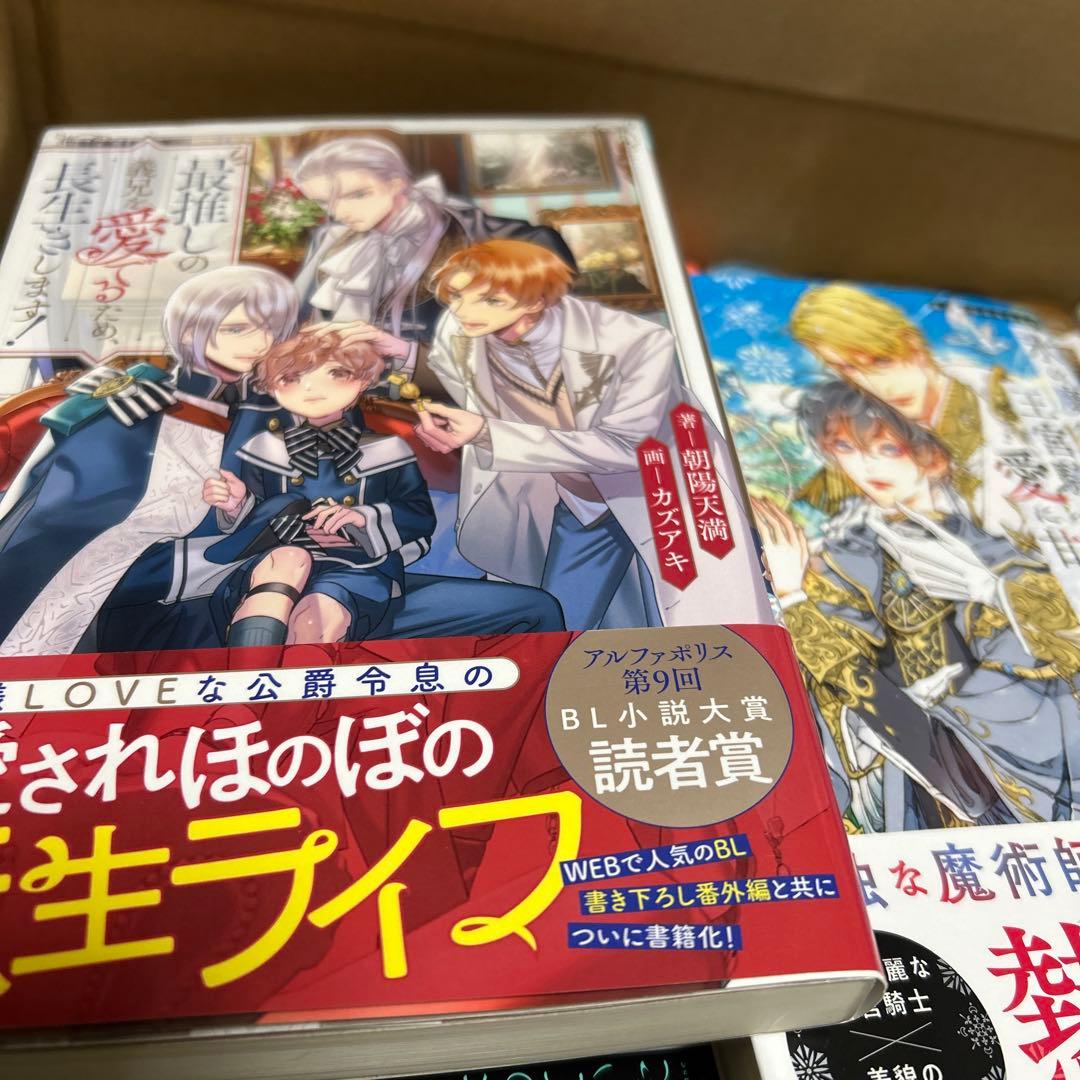 bl小説大判サイズ纏め売りセット　アンダルシュノベルズ他