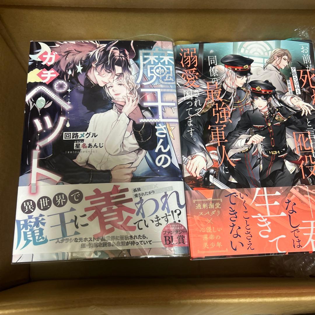 bl小説大判サイズ纏め売りセット　アンダルシュノベルズ他