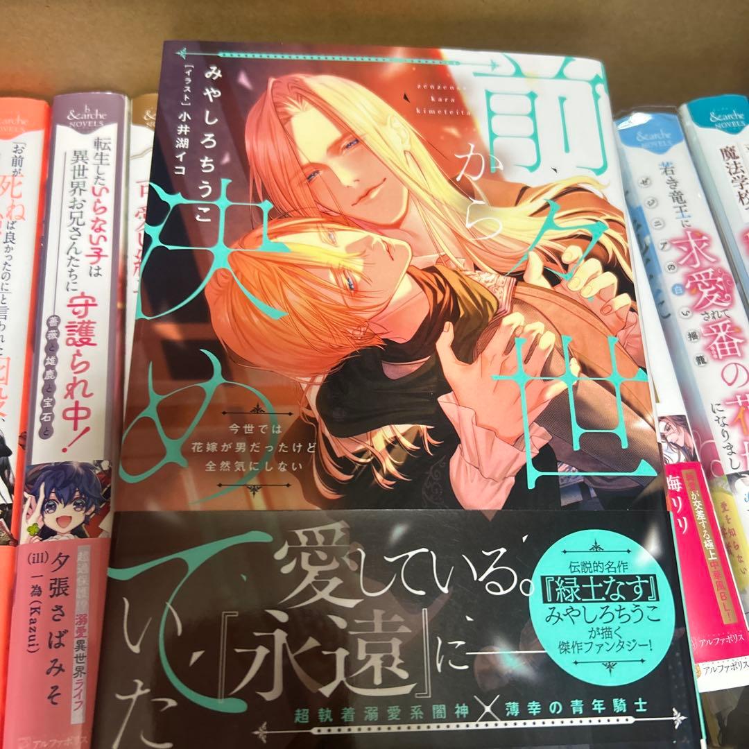 bl小説大判サイズ纏め売りセット　アンダルシュノベルズ他