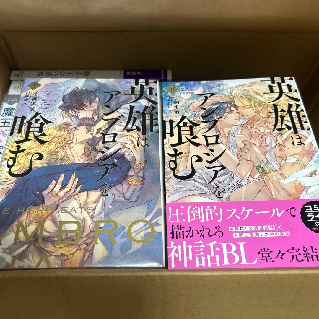 bl小説大判サイズ纏め売りセット　アンダルシュノベルズ他