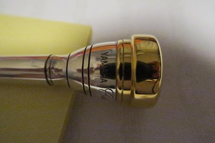 ヤマハカスタムトランペットマウスピース YAMAHA TR-14C4-G YAMAHA ( ヤマハ ) TR-14C4 トランペットマウスピース 送料無料