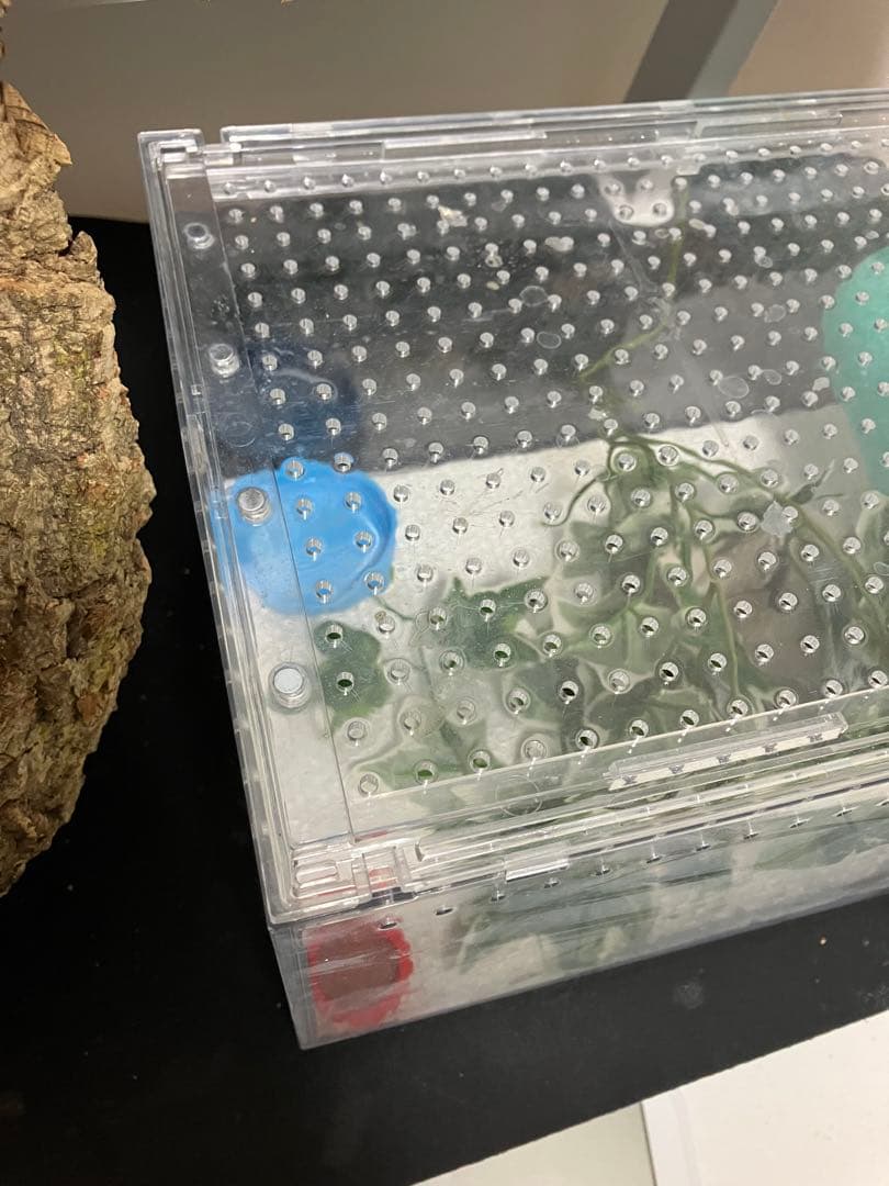 ヘルズ様専用】爬虫類ケージ ゲージ 特別ヘルズ様限定リピート割