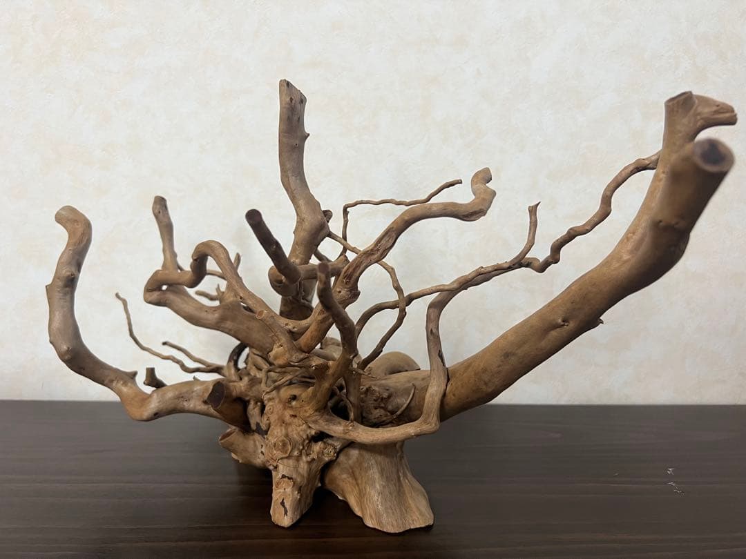 10116ブランチウッド 流木 アクアリウム 沈水確認済