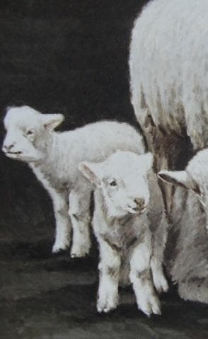 奈良岡正夫、【絆】、希少な額装用画集より、新品額装付