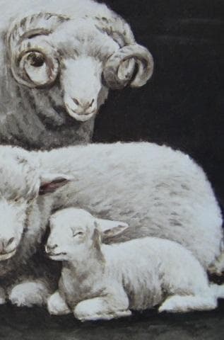 奈良岡正夫、【絆】、希少な額装用画集より、新品額装付