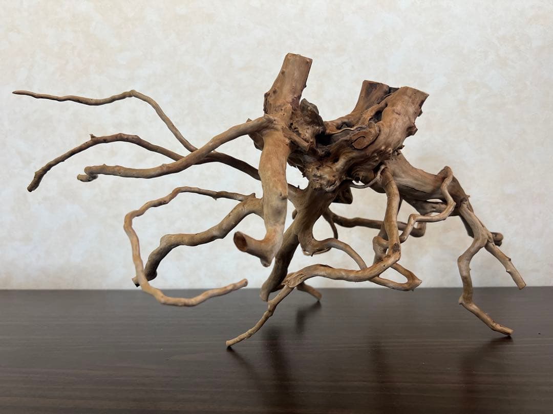 63001 ブランチウッド 流木 アクアリウム 沈水確認済