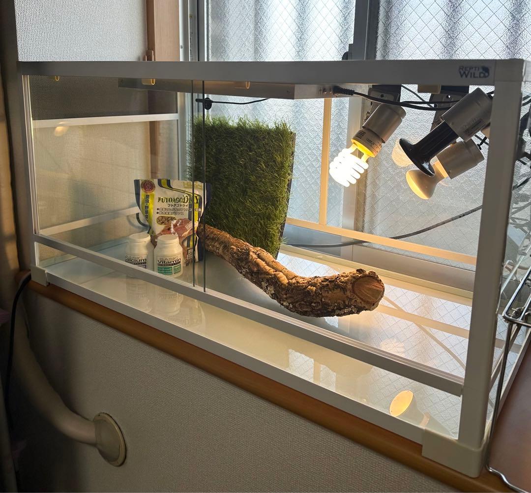 引き取り限定 爬虫類 ケージ サーモスタットなど