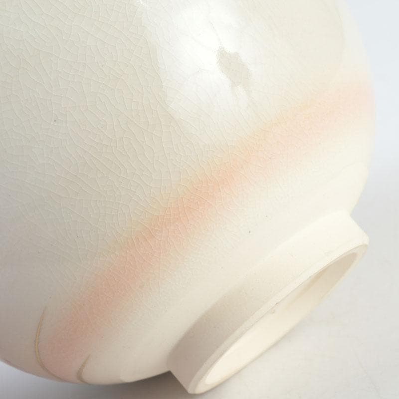 茶道具 白井半七造 色絵 秋草絵 茶碗 銘「涼風」 即中斎極め箱 M